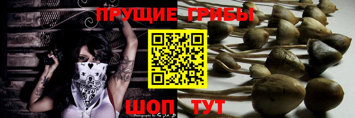 Галлюциногенные грибы GOLDEN TEACHER Кимовск